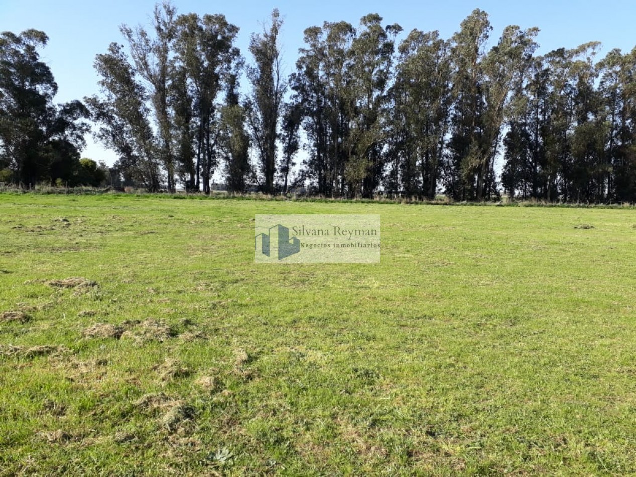 4 lotes en venta en Necochea